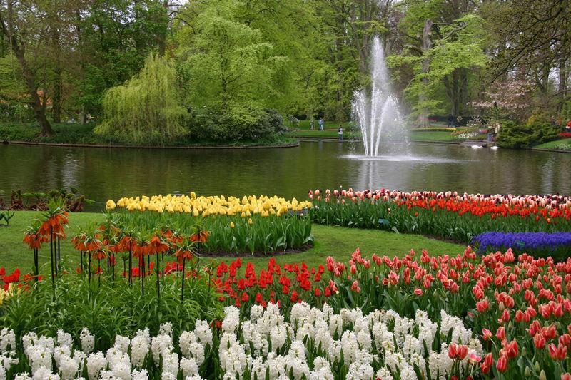 Holland med blomstertåg 2022